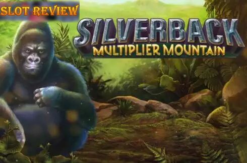 Silverback Multiplier Mountain